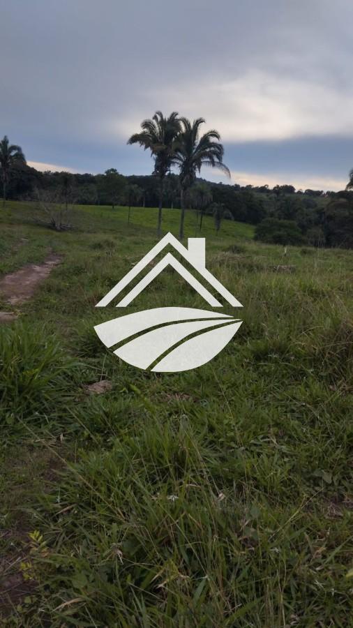 Fazenda à venda, 1m² - Foto 14