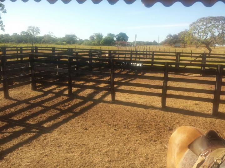 Fazenda à venda com 3 quartos - Foto 22