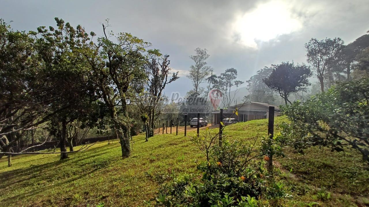 Sítio à venda com 3 quartos, 9659m² - Foto 3