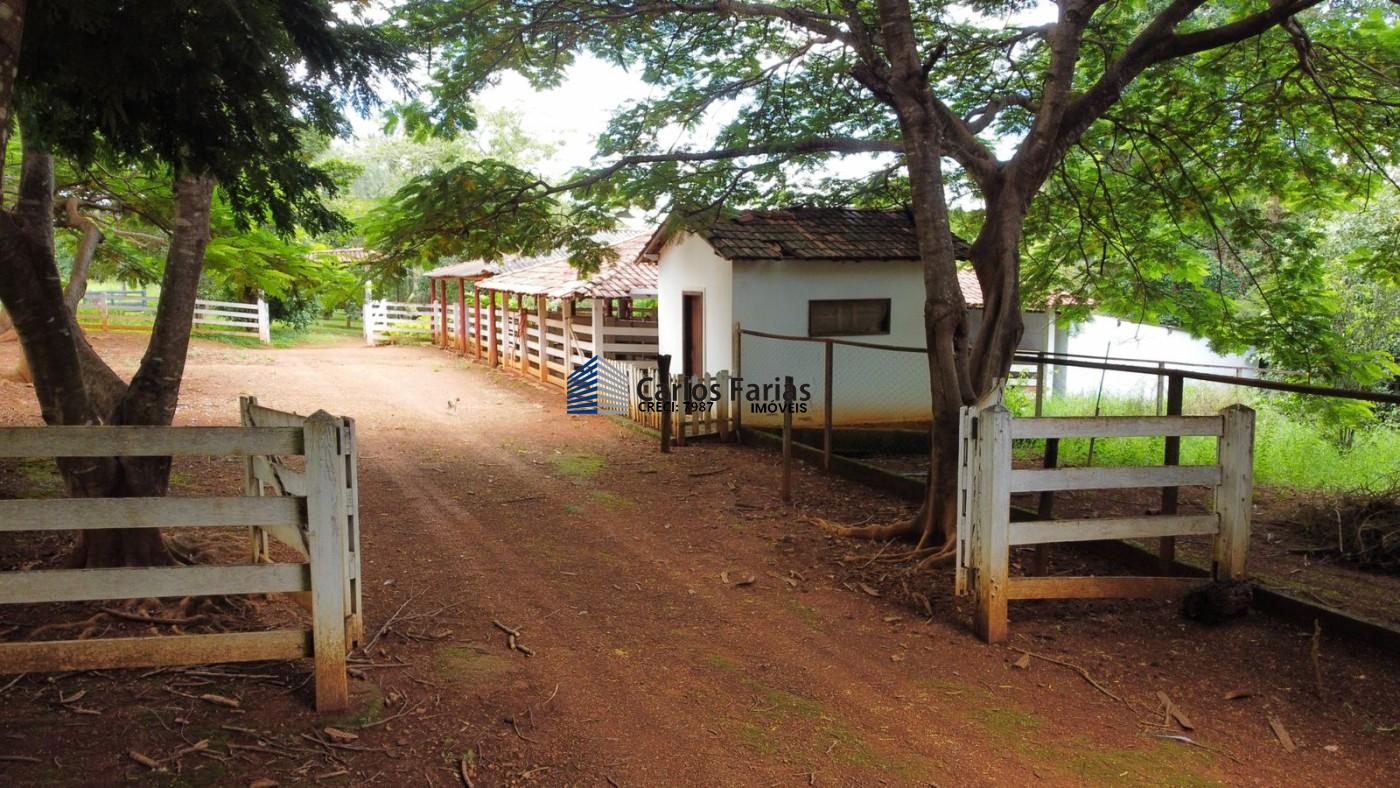 Fazenda à venda com 3 quartos, 230m² - Foto 15