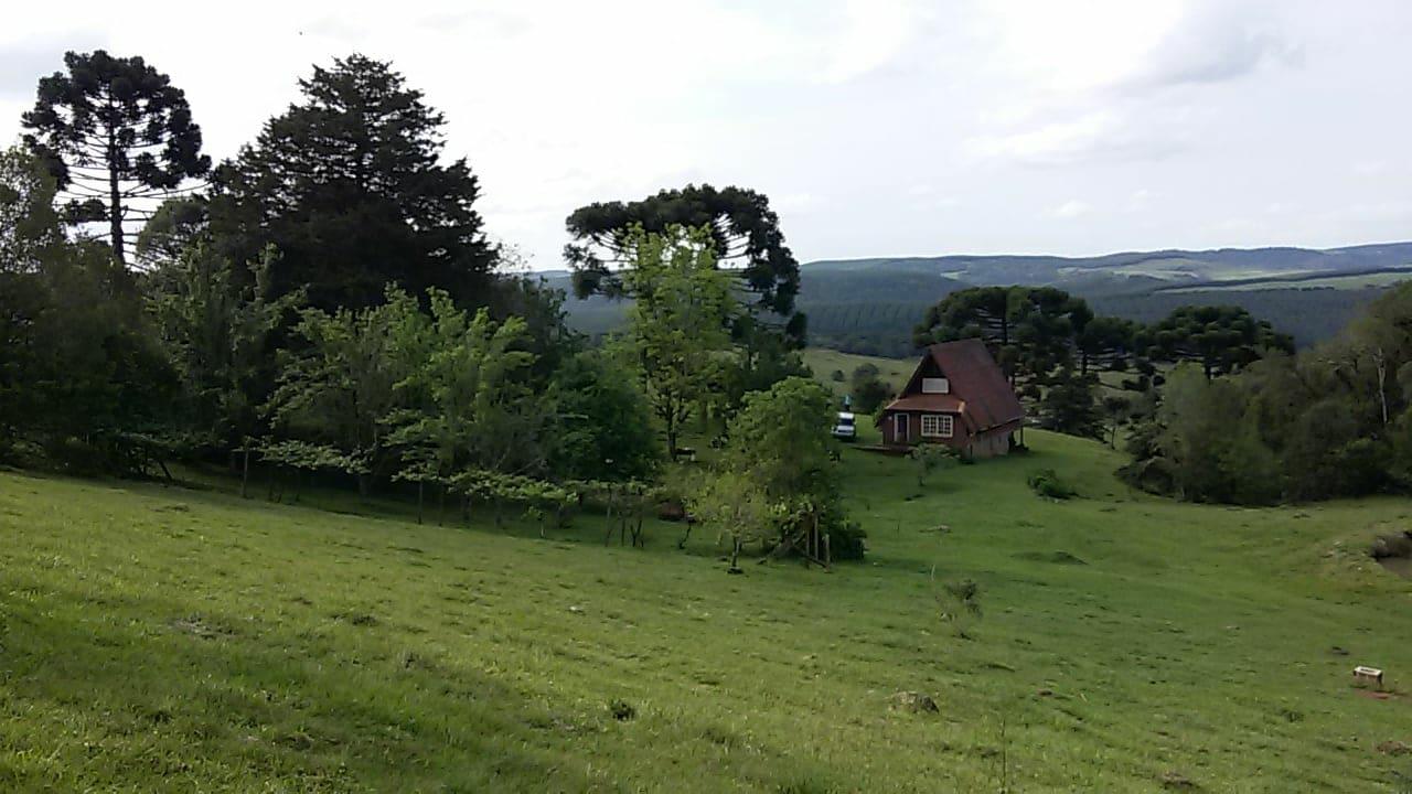 Sítio à venda com 1 quarto, 130m² - Foto 9