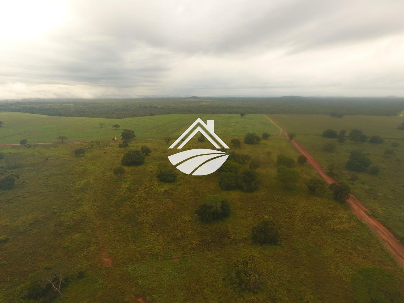 Fazenda à venda, 1m² - Foto 23