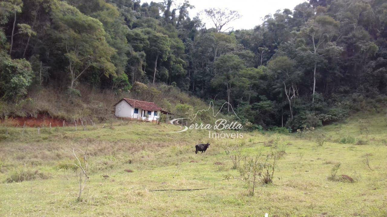 Fazenda à venda com 7 quartos, 400m² - Foto 16