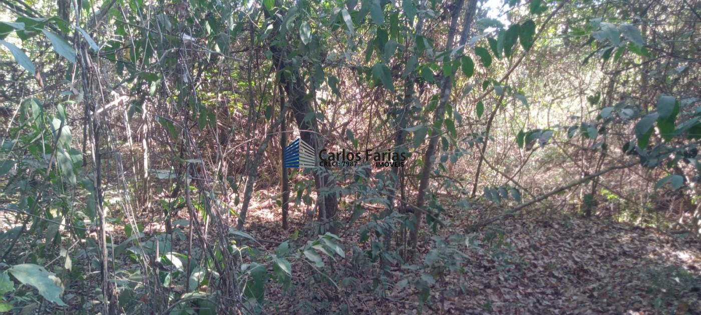 Chácara à venda, 20000m² - Foto 22