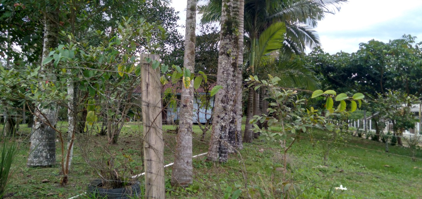 Chácara à venda, 4500m² - Foto 4