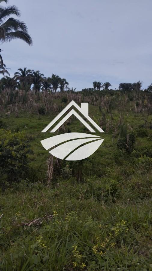 Fazenda à venda, 1m² - Foto 13