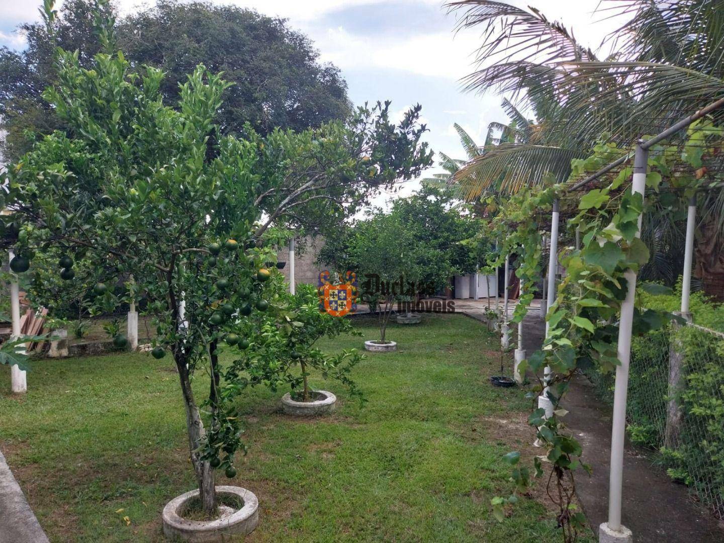Chácara à venda com 2 quartos, 280m² - Foto 4
