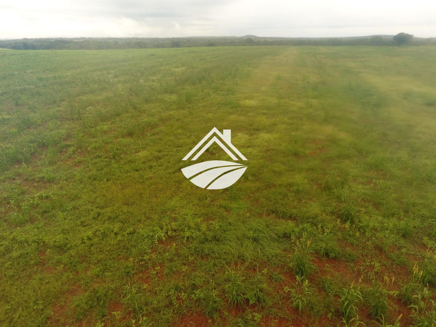 Fazenda à venda, 1m² - Foto 26