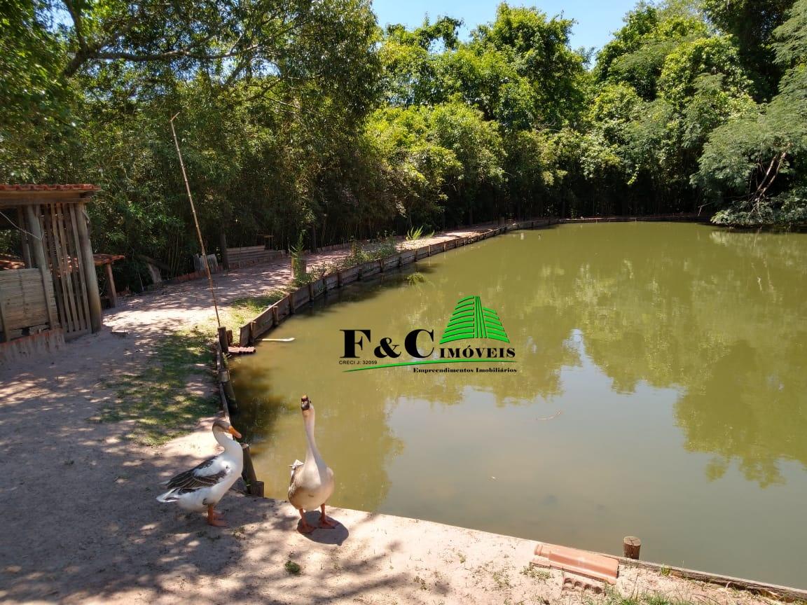 Chácara à venda com 3 quartos, 24200m² - Foto 7