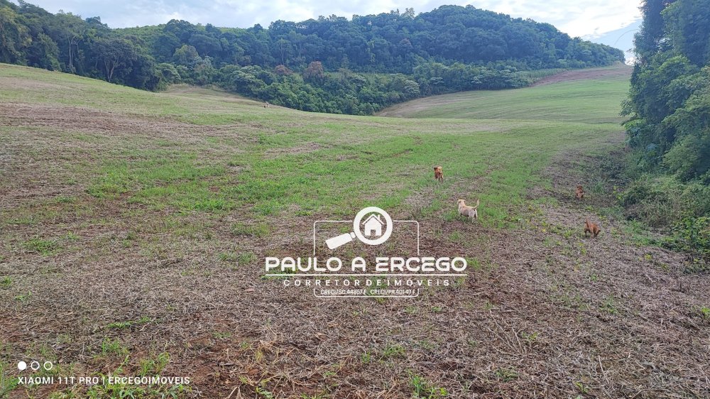 Sítio à venda, 41m² - Foto 21