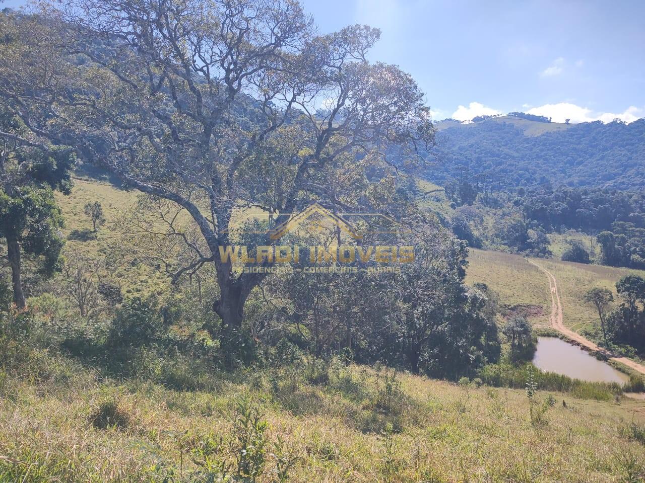 Terreno à venda, 16m² - Foto 6