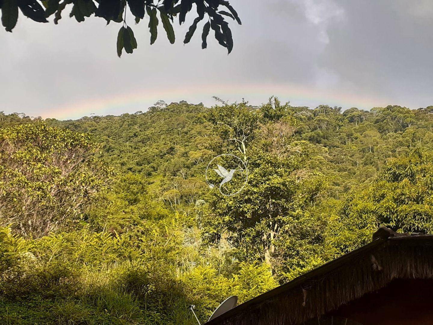 Sítio à venda com 3 quartos, 8000M2 - Foto 60