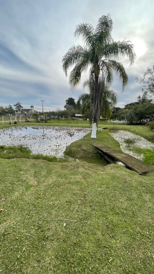 Sítio à venda com 2 quartos, 3000m² - Foto 3