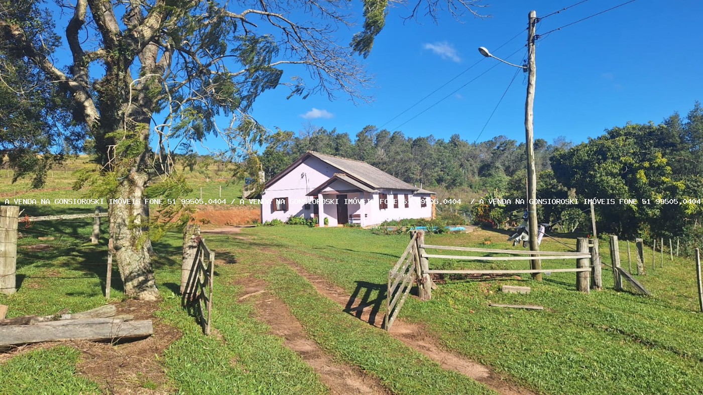 Sítio à venda com 4 quartos, 46500m² - Foto 3