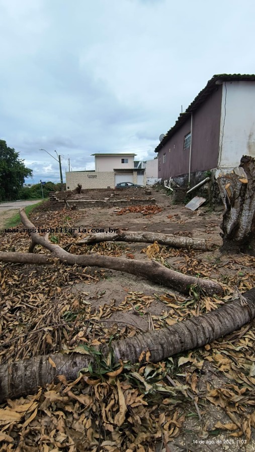 Casa para alugar com 2 quartos, 200m² - Foto 35