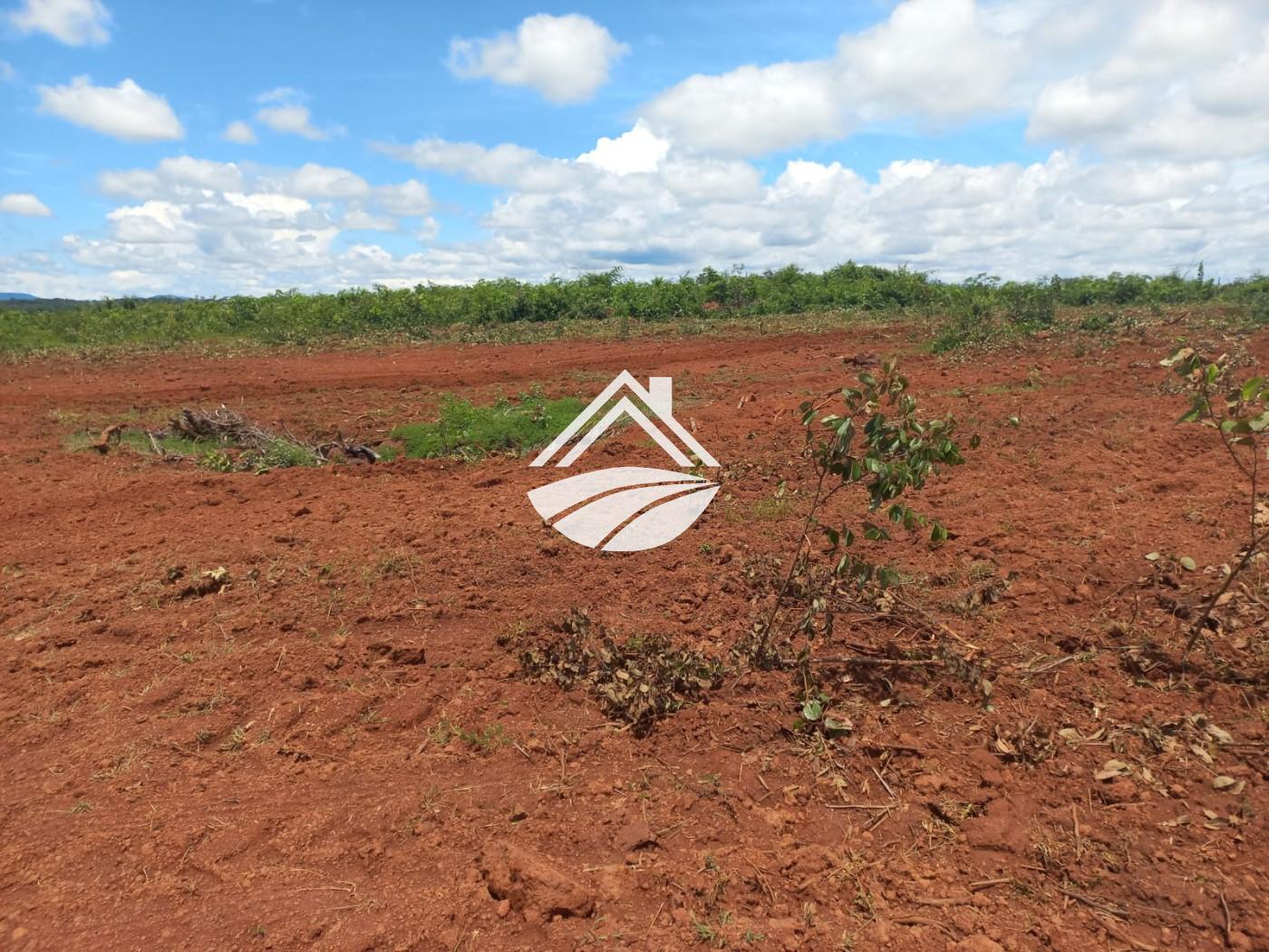 Fazenda à venda, 1m² - Foto 14