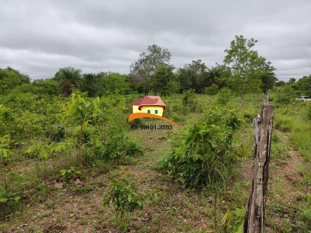 Fazenda à venda, 1m² - Foto 7