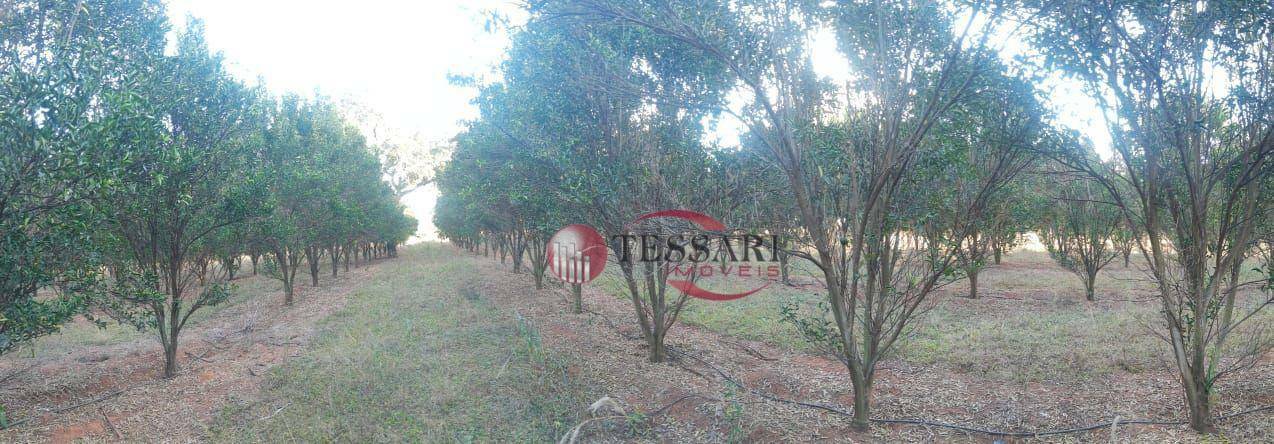 Sítio à venda com 3 quartos, 180m² - Foto 17