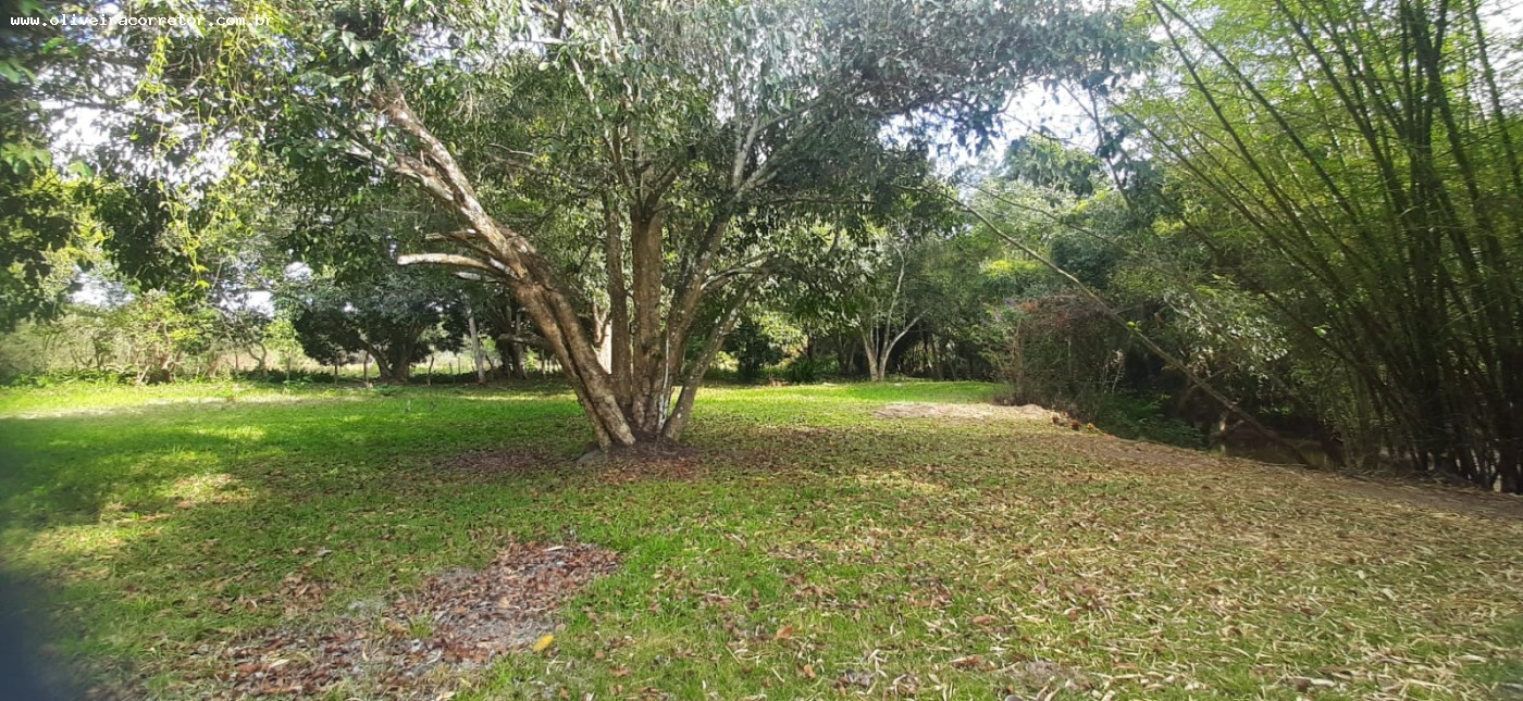 Chácara à venda com 30 quartos, 40000m² - Foto 13