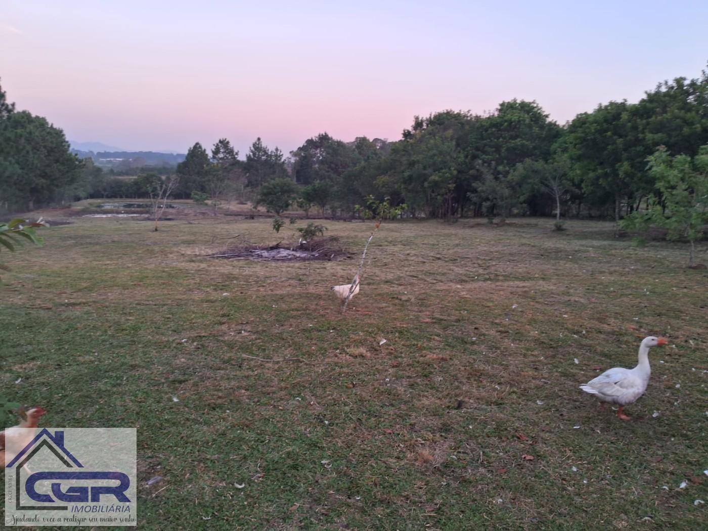 Fazenda para alugar com 3 quartos, 6000m² - Foto 14