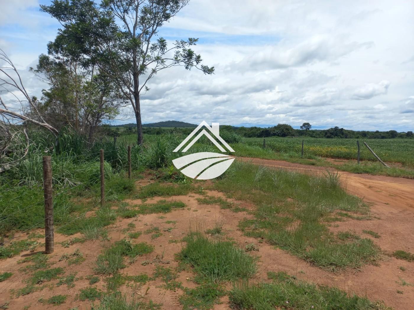 Fazenda à venda, 1m² - Foto 25
