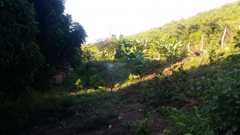 Fazenda à venda, 773m² - Foto 13