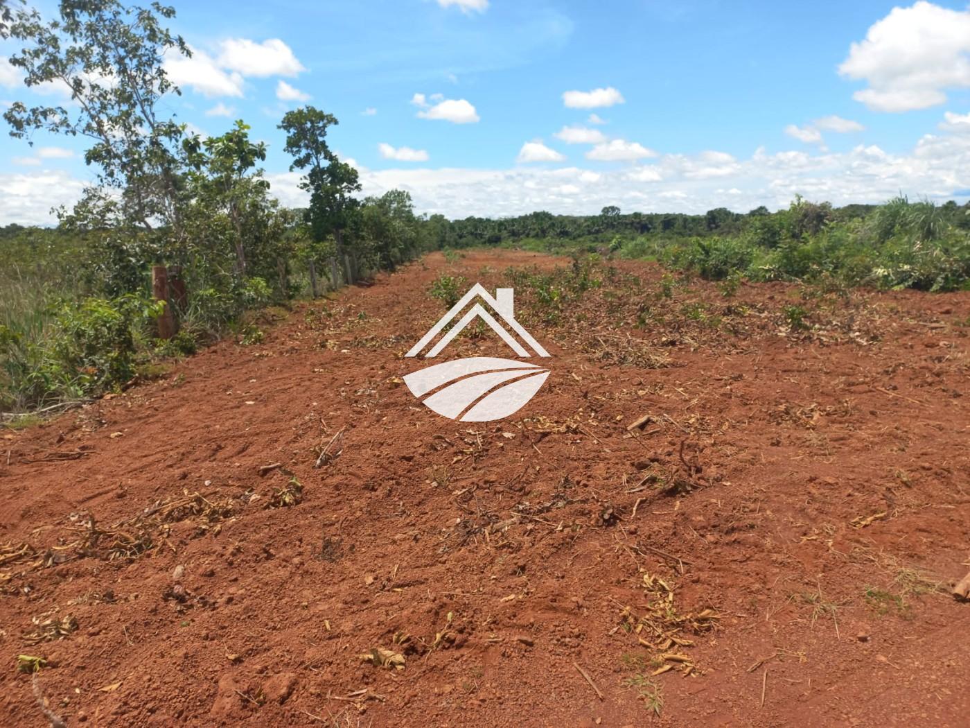 Fazenda à venda, 1m² - Foto 13