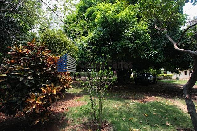 Chácara à venda com 3 quartos, 300m² - Foto 19