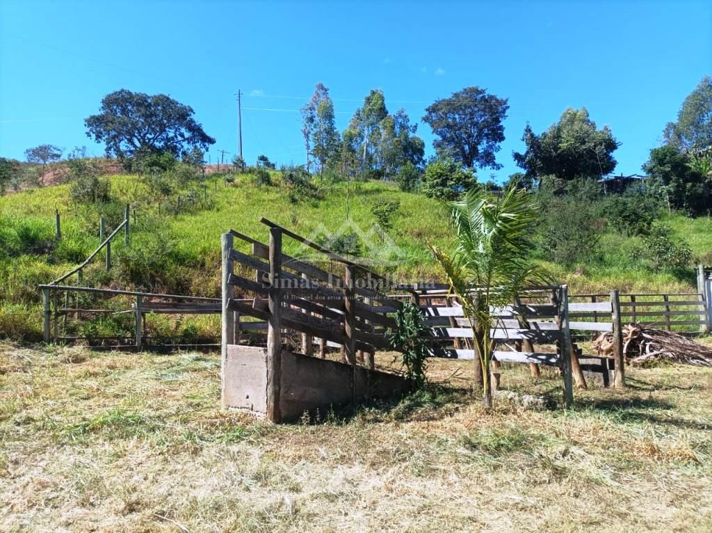 Sítio à venda com 1 quarto, 8000m² - Foto 3