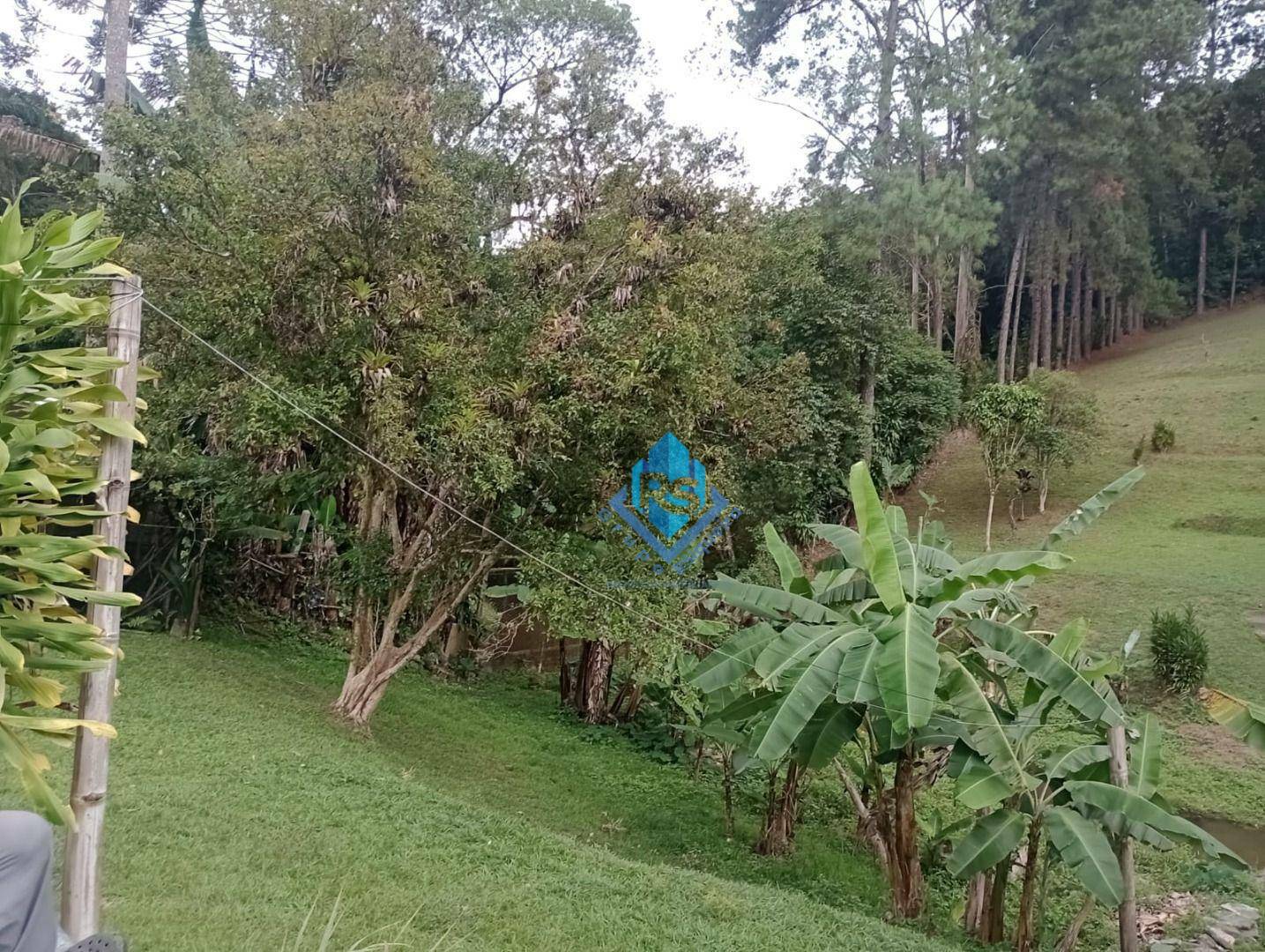 Chácara à venda com 2 quartos, 4000M2 - Foto 15