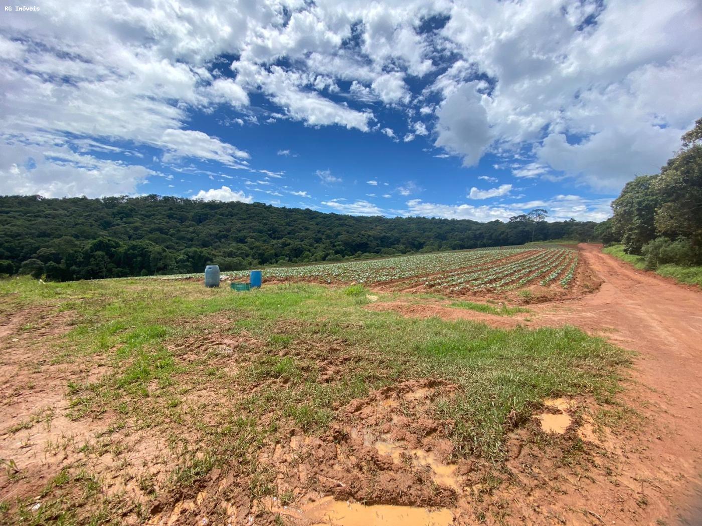 Fazenda à venda com 2 quartos, 1766600m² - Foto 2