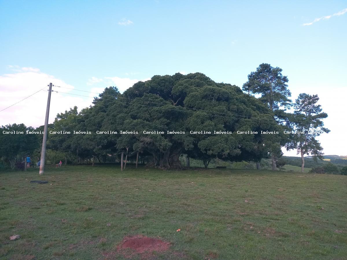 Chácara à venda, 160000m² - Foto 23