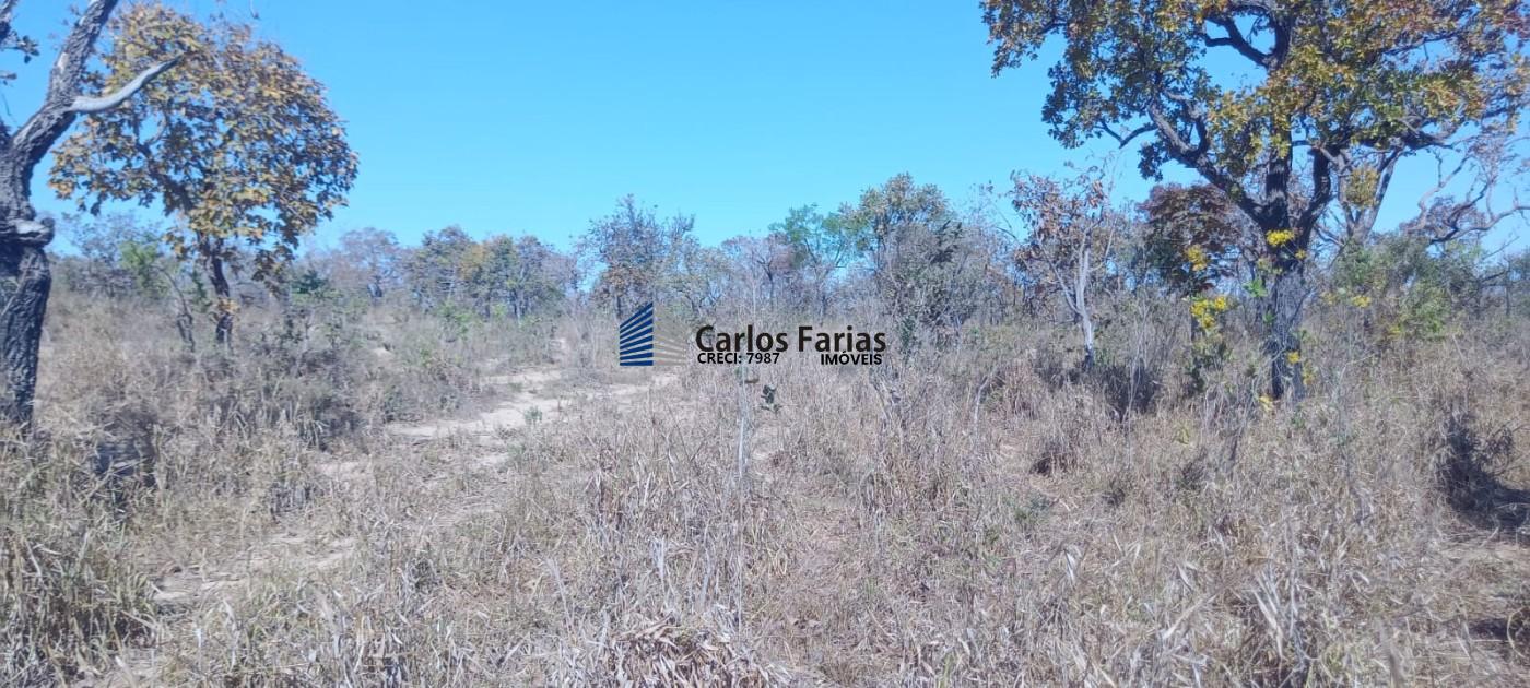 Chácara à venda, 20000m² - Foto 18