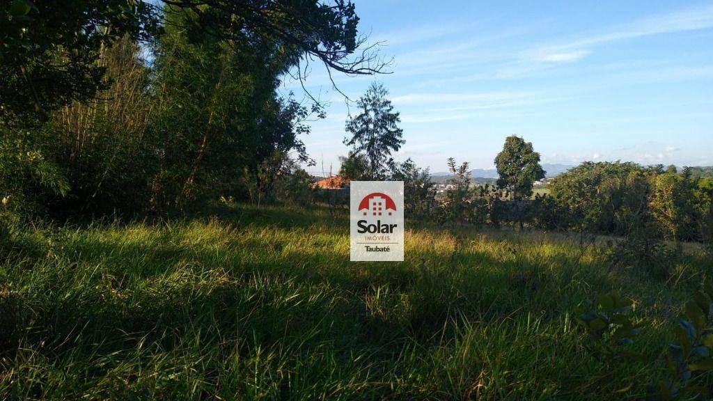 Sítio à venda com 3 quartos, 8000M2 - Foto 9