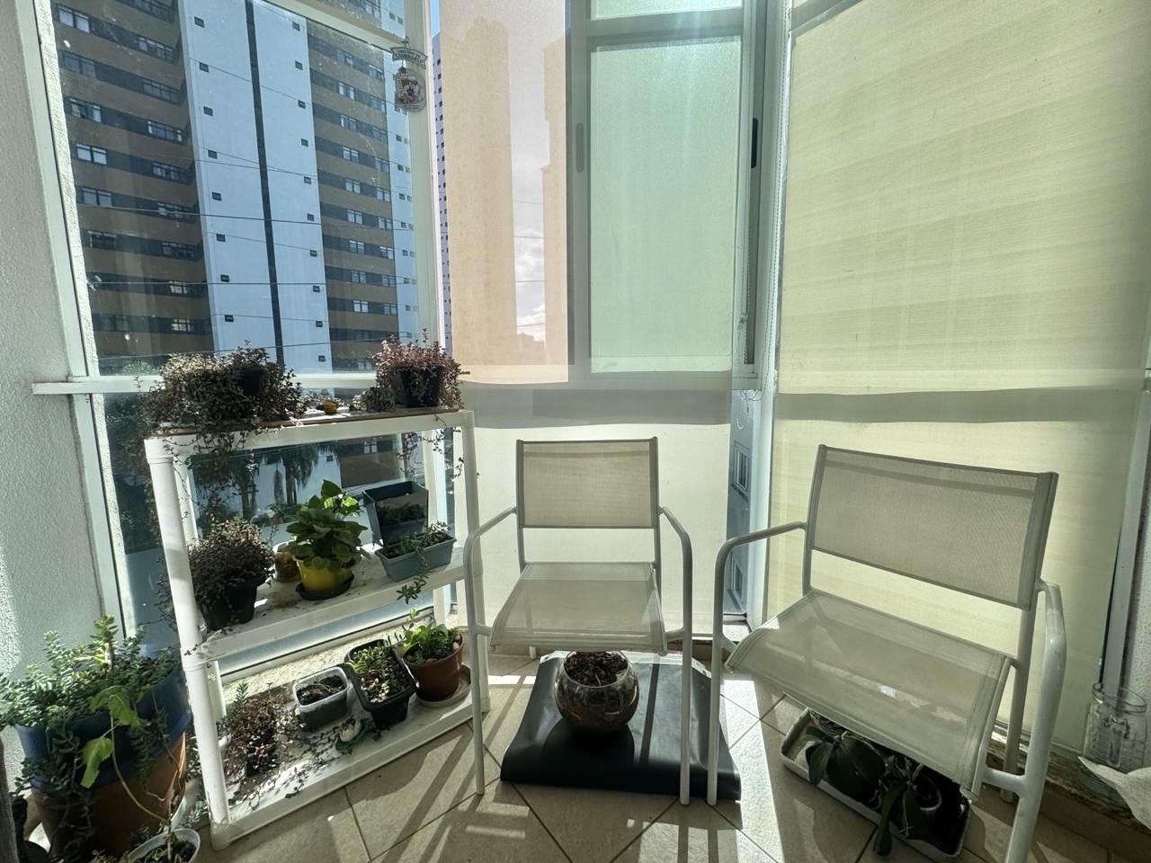 Apartamento à venda com 3 quartos, 58m² - Foto 6
