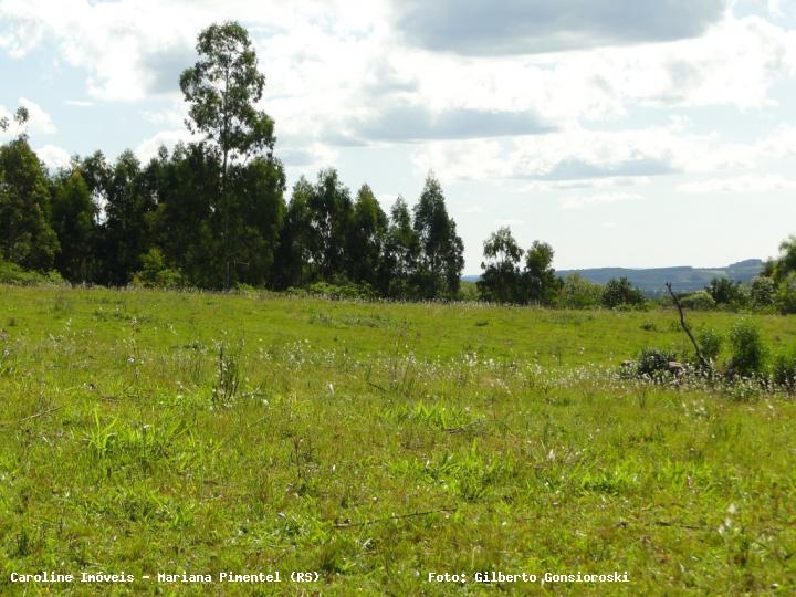 Chácara à venda com 3 quartos, 160000m² - Foto 28