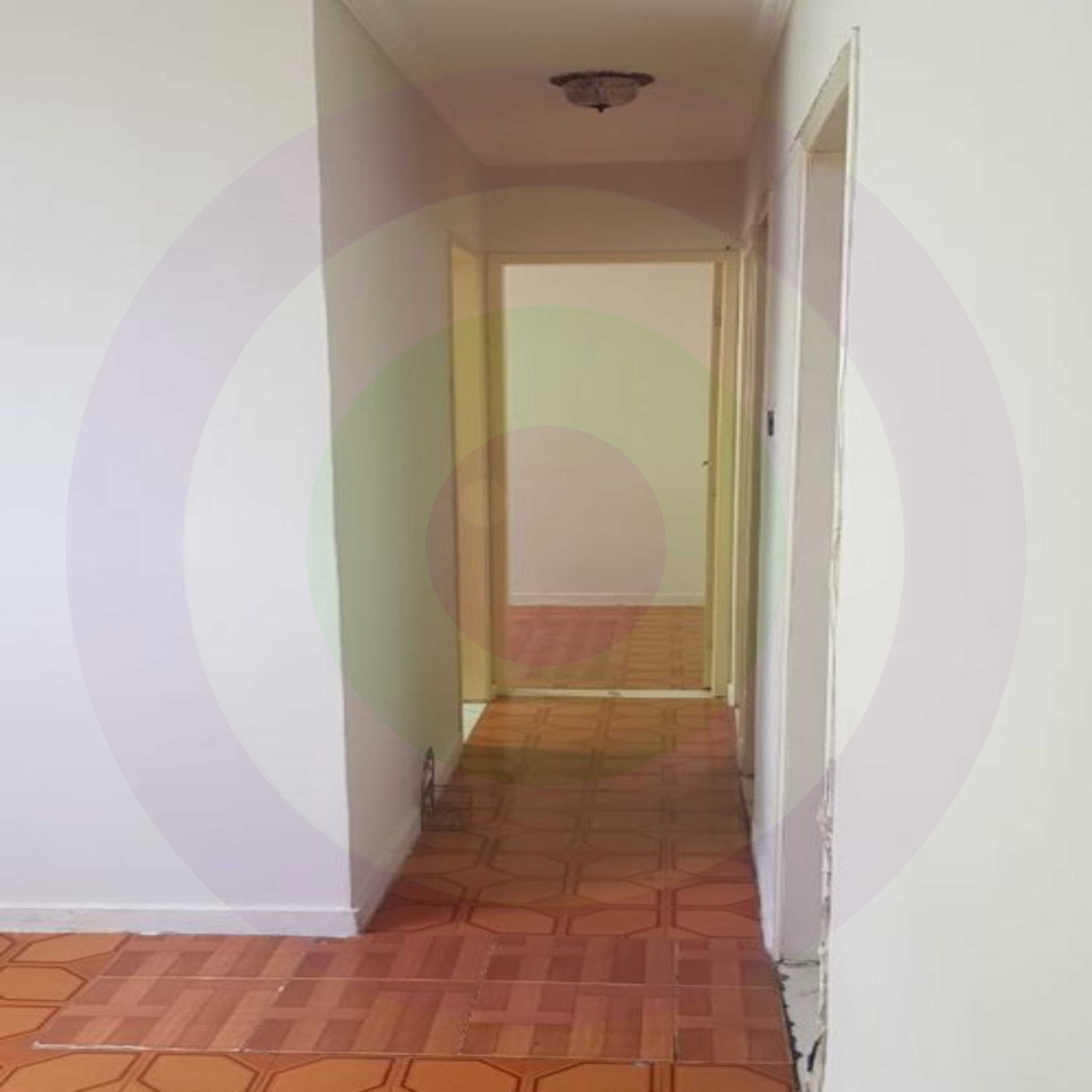Apartamento à venda com 3 quartos, 55m² - Foto 3