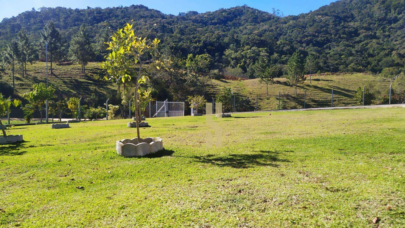 Chácara à venda com 2 quartos, 150m² - Foto 23