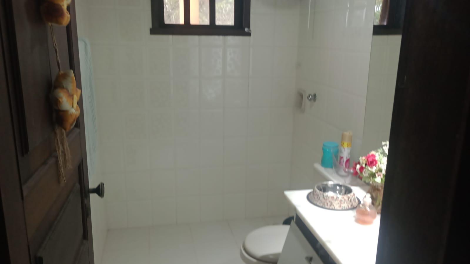 Sítio à venda com 4 quartos, 20000m² - Foto 14