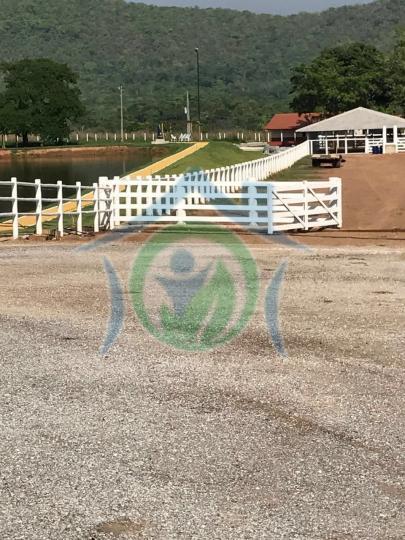 Fazenda à venda - Foto 25