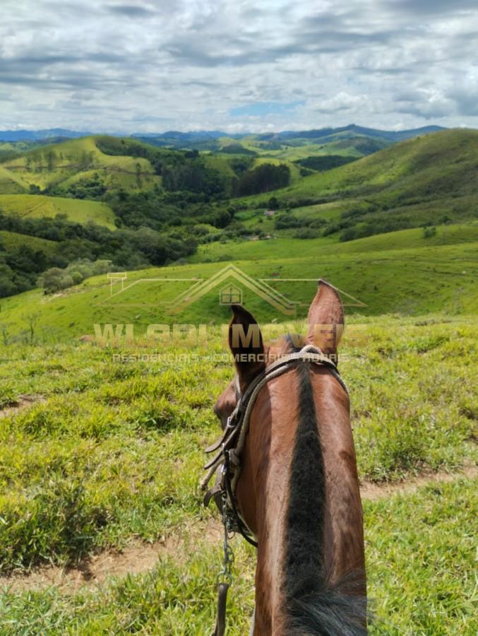 Fazenda à venda, 100m² - Foto 12