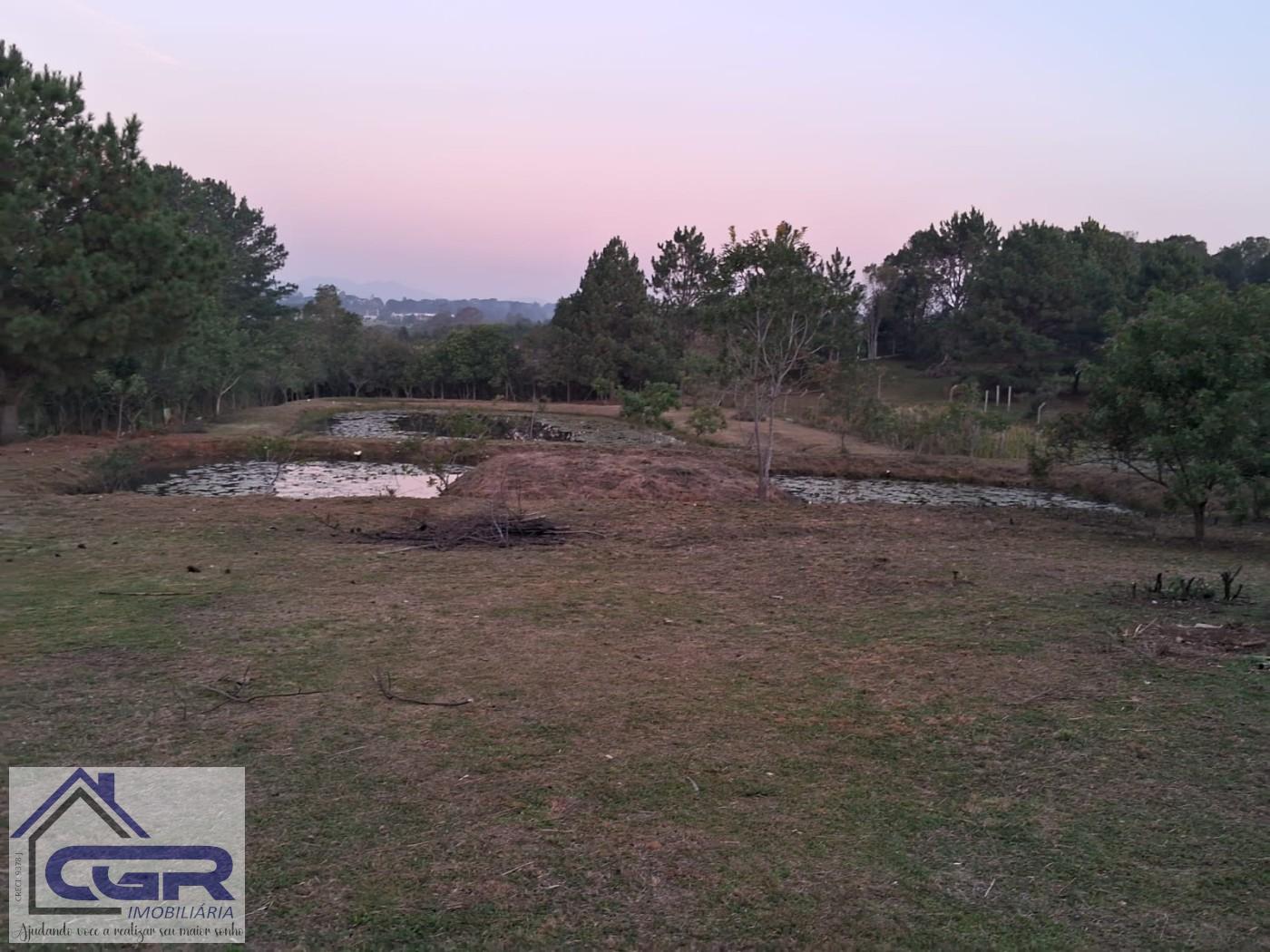 Fazenda para alugar com 3 quartos, 6000m² - Foto 16