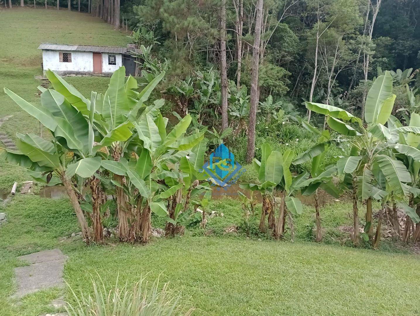 Chácara à venda com 2 quartos, 4000M2 - Foto 5