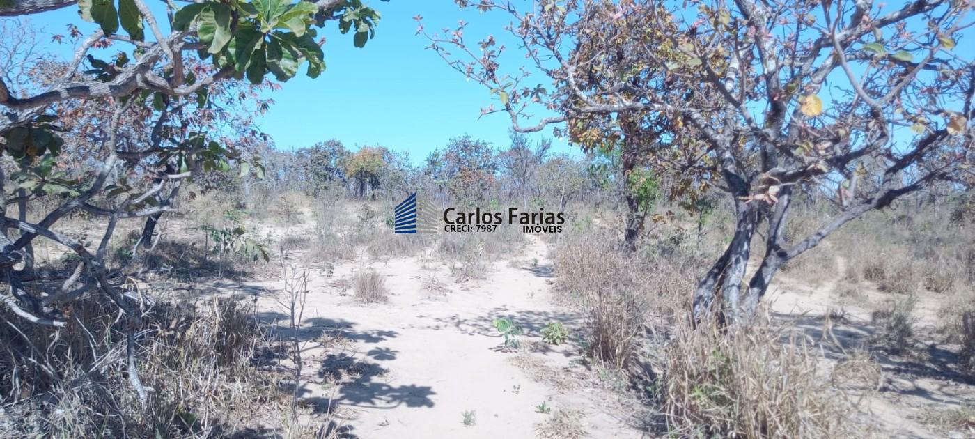 Chácara à venda, 20000m² - Foto 28