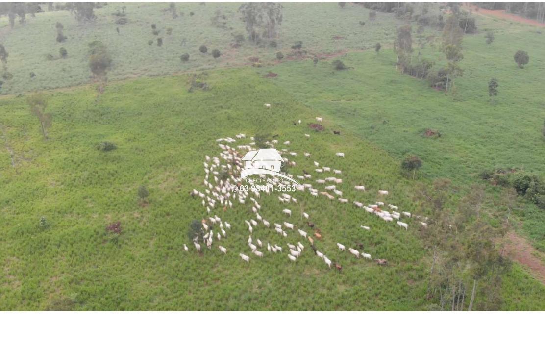 Fazenda à venda, 1m² - Foto 8