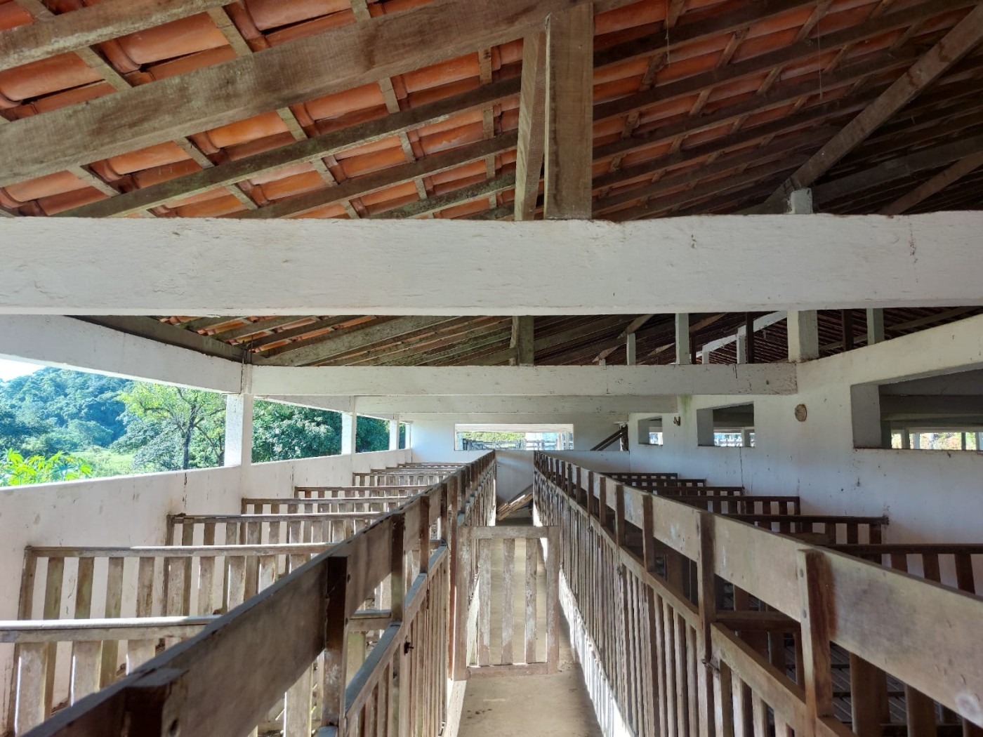 Fazenda à venda com 4 quartos, 34m² - Foto 27