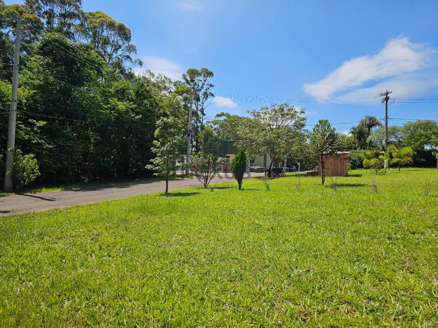 Terreno à venda, 1000m² - Foto 3