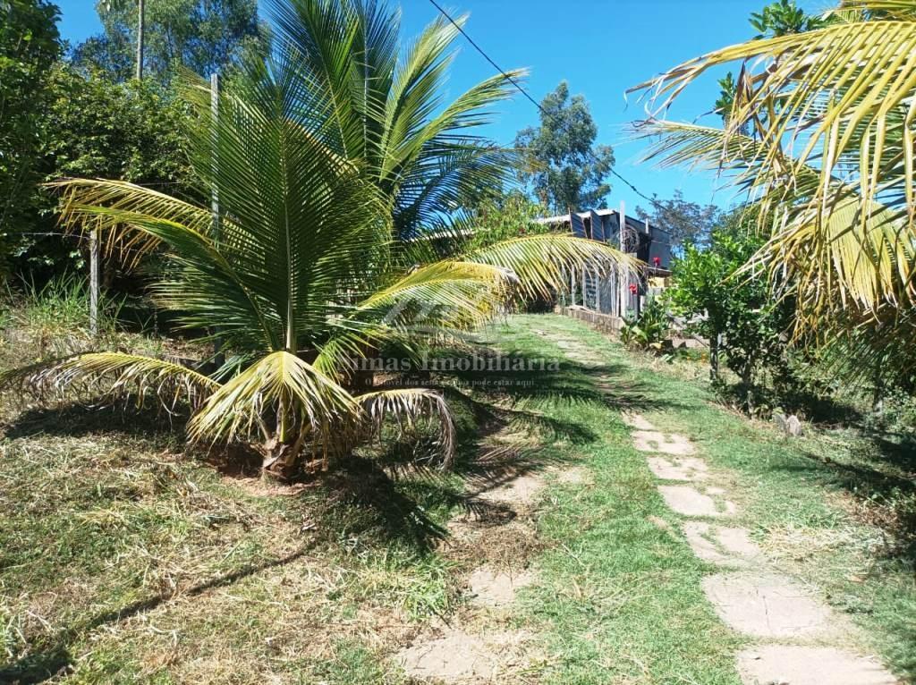 Sítio à venda com 1 quarto, 8000m² - Foto 10