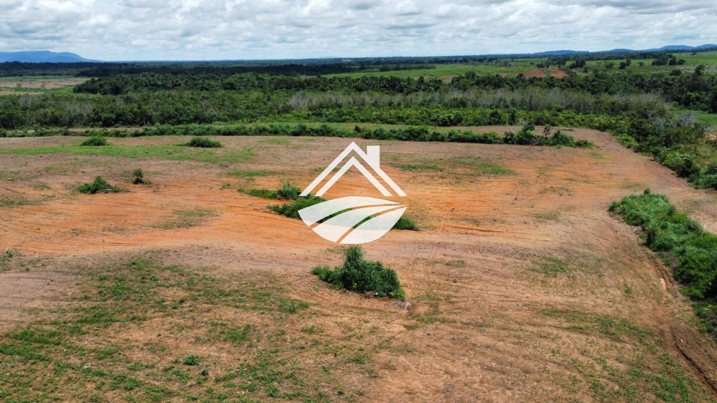Fazenda à venda, 1m² - Foto 10
