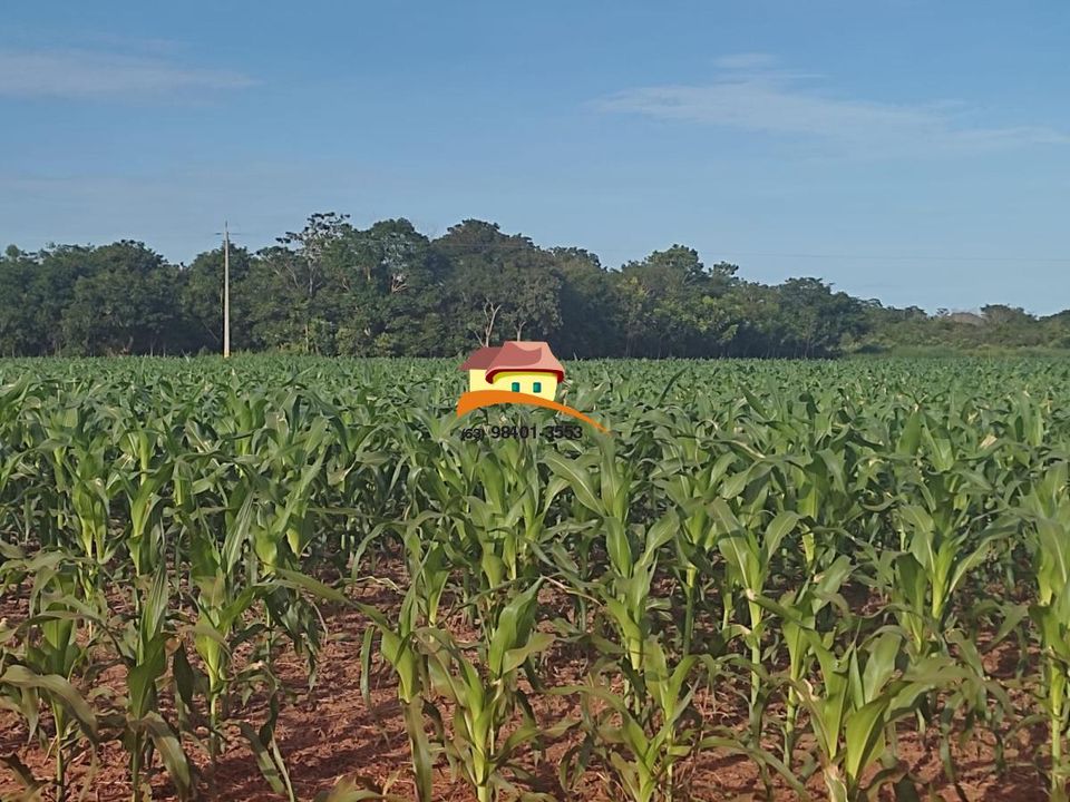 Fazenda à venda, 1m² - Foto 6